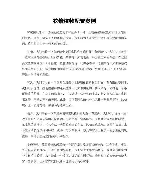 花镜植物配置案例