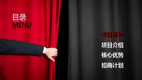 招商加盟合作共赢项目介绍授课PPT模板