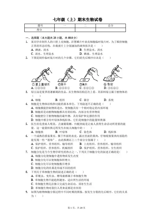 北京市 七年级(上)期末生物试卷 (含答案)