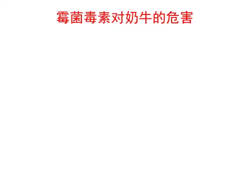 霉菌毒素对奶牛的危害