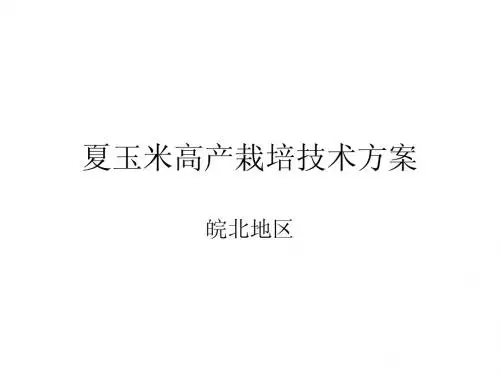 夏玉米高产栽培技术方案
