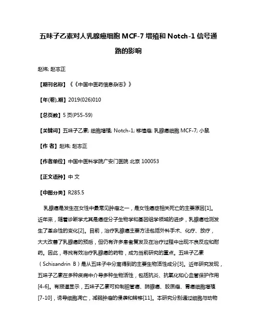 五味子乙素对人乳腺癌细胞MCF-7增殖和Notch-1信号通路的影响