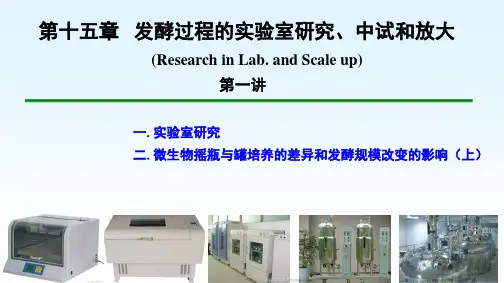 发酵过程的实验室研究、中试和放大