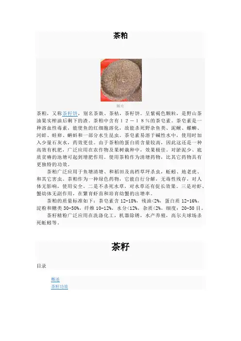 茶籽研究