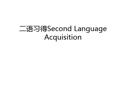 二语习得Second Language Acquisition教学内容
