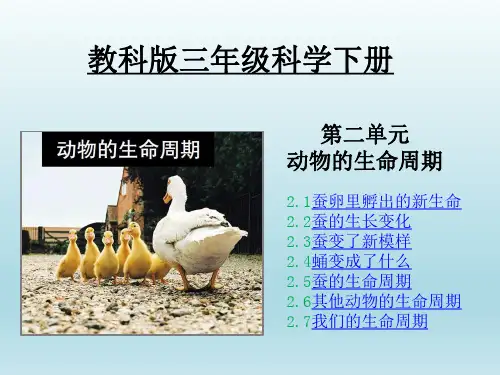 教科版三年级科学下册第二单元课件