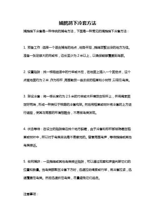捕鹧鸪下冷套方法