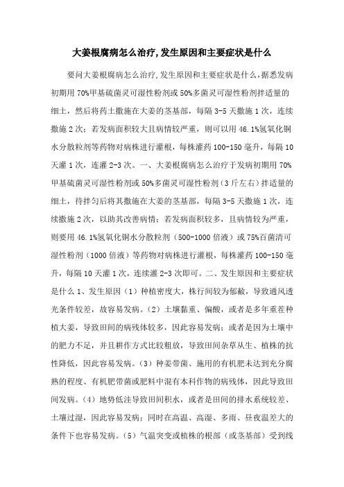 大姜根腐病怎么治疗,发生原因和主要症状是什么