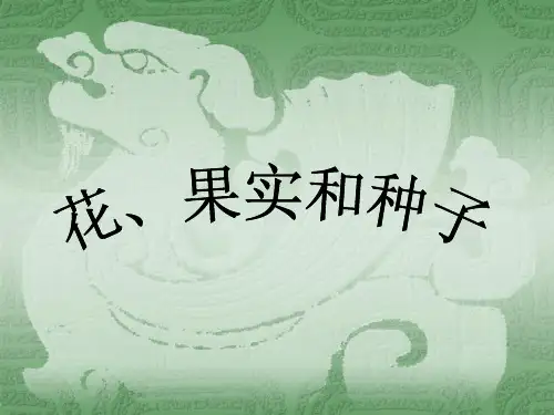 四年级下 - 花 果实和种子 教科版ppt精美课件 (共36张PPT)