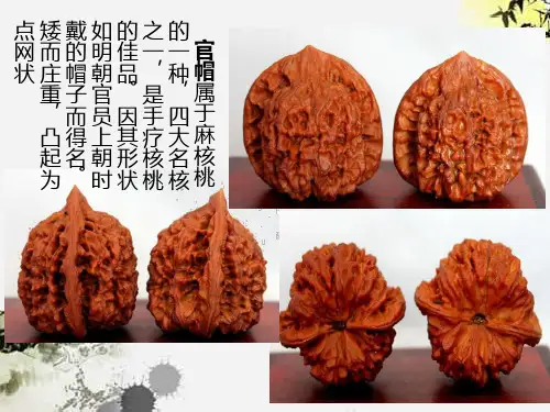 文玩核桃品种图鉴大全PPT课件