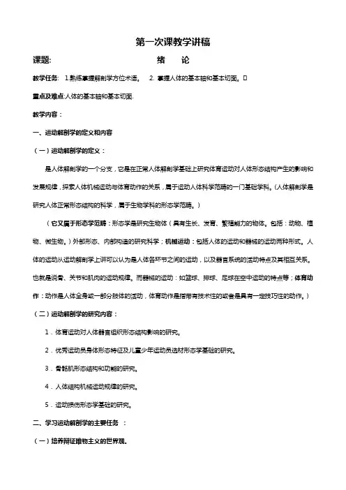 解剖讲稿