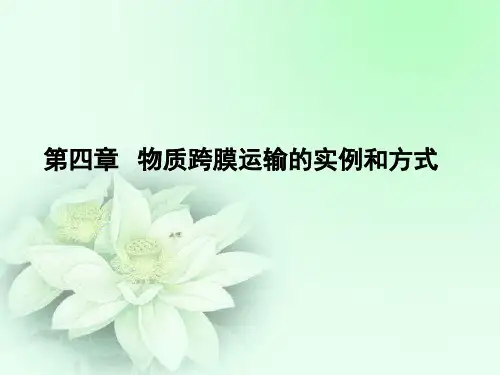 物质跨膜运输的实例和方式(高中一轮复习)(课堂PPT)