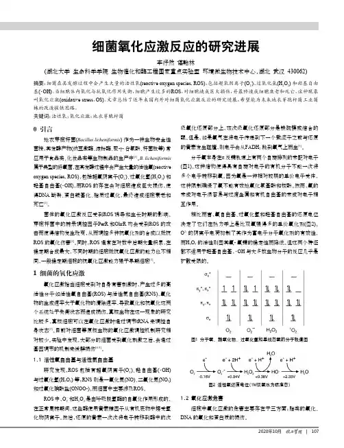 细菌氧化应激反应的研究进展