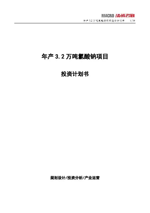 年产3.2万吨氯酸钠项目投资计划书