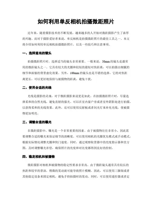 如何利用单反相机拍摄微距照片