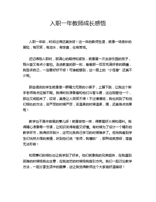 入职一年教师成长感悟