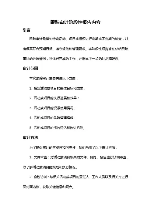 跟踪审计阶段性报告内容