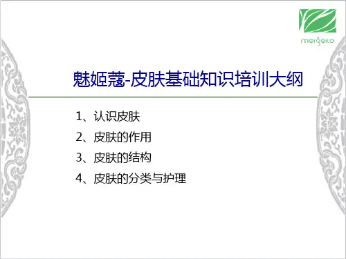皮肤基础知识讲解 PPT课件