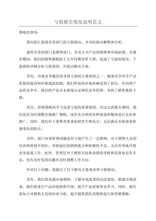 亏损报告情况说明范文