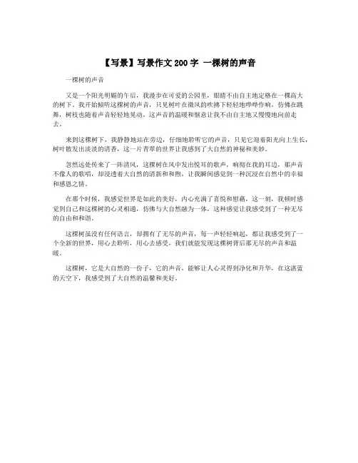 【写景】写景作文200字 一棵树的声音