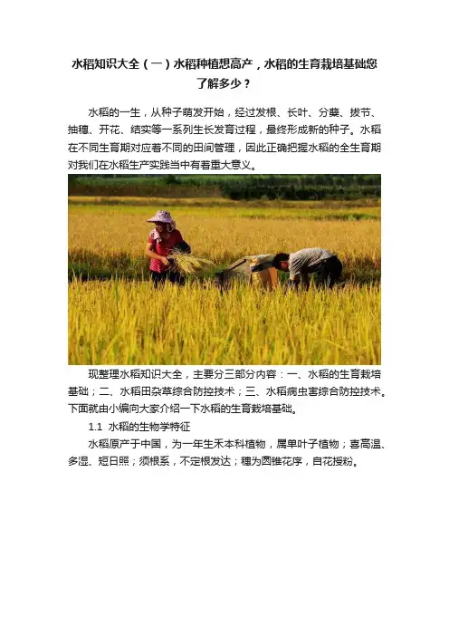 水稻知识大全（一）水稻种植想高产，水稻的生育栽培基础您了解多少？