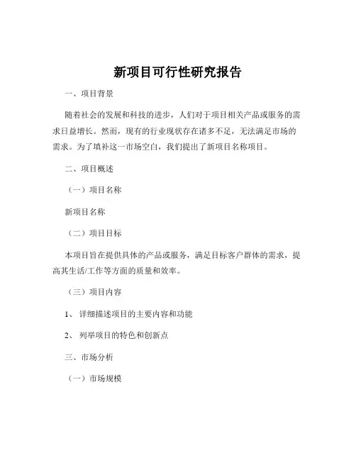 新项目可行性研究报告