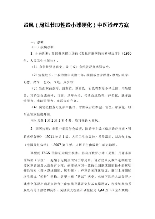 肾风(局灶节段性肾小球硬化)中医诊疗方案