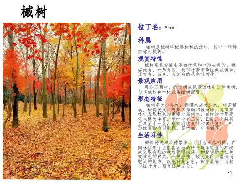 园林植物学PPT课件