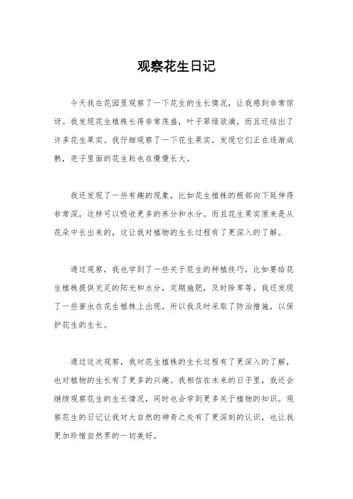 观察花生日记