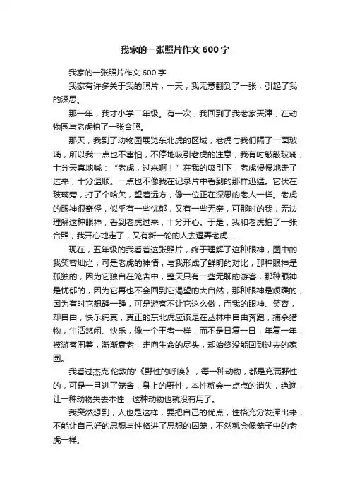 我家的一张照片作文600字