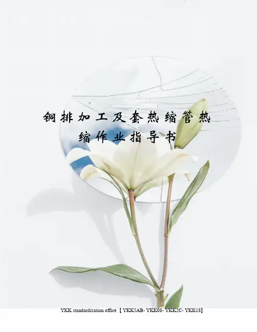 铜排加工及套热缩管热缩作业指导书审批稿