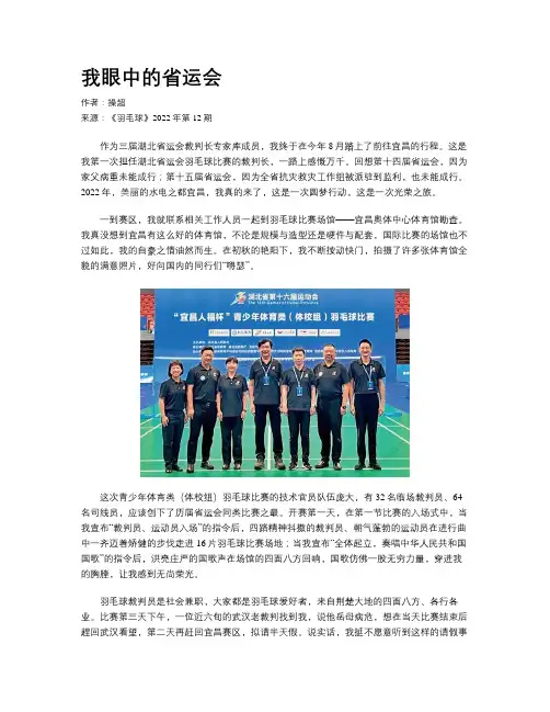 我眼中的省运会