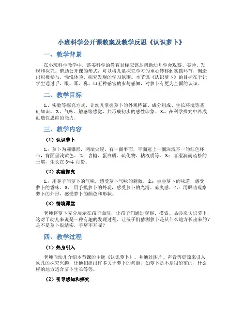 小班科学公开课教案及教学反思《认识萝卜》