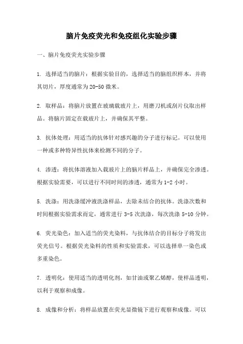 脑片免疫荧光和免疫组化实验步骤