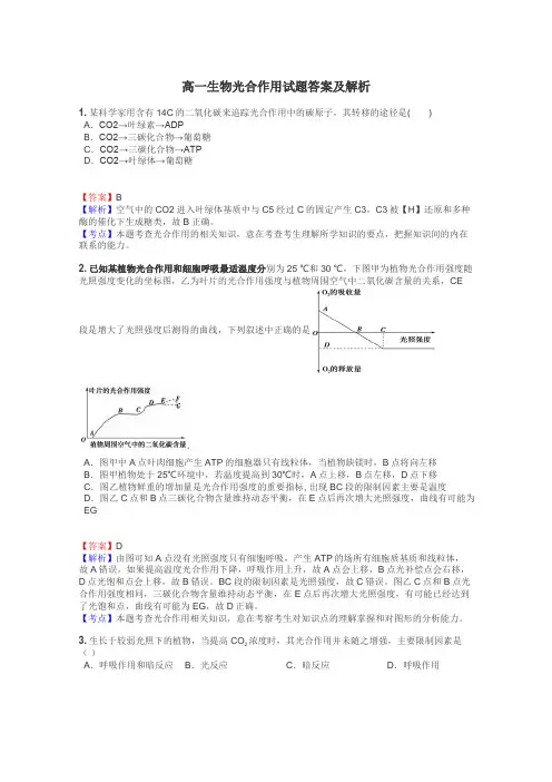 高一生物光合作用试题答案及解析
