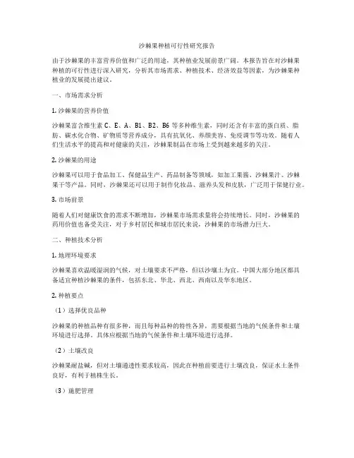 沙棘果种植可行性研究报告
