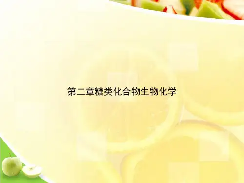 第二章糖类化合物生物化学ppt文档