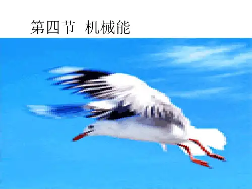 3.4 华师大版九年级上册科学 精品课件 .机械能  精品课件