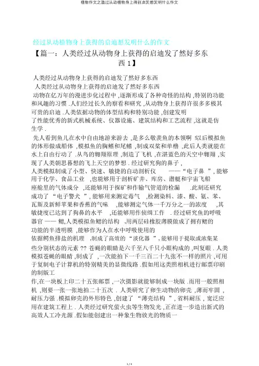 植物作文之通过从动植物身上得到启发想发明什么作文