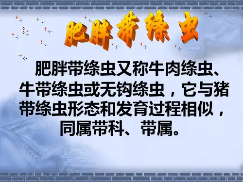 [寄生虫学]肥胖带绦虫总结
