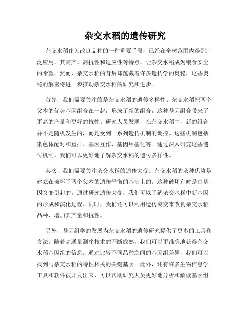 杂交水稻的遗传研究