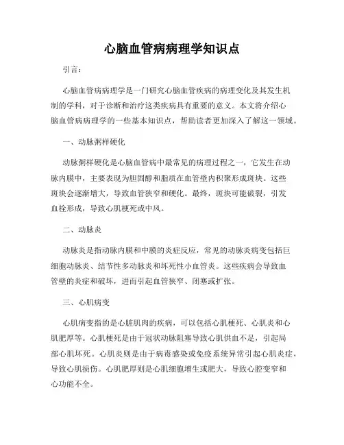 心脑血管病病理学知识点