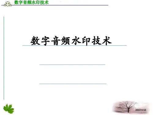 数字音频水印技术