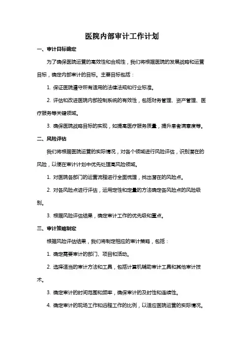 医院内部审计工作计划