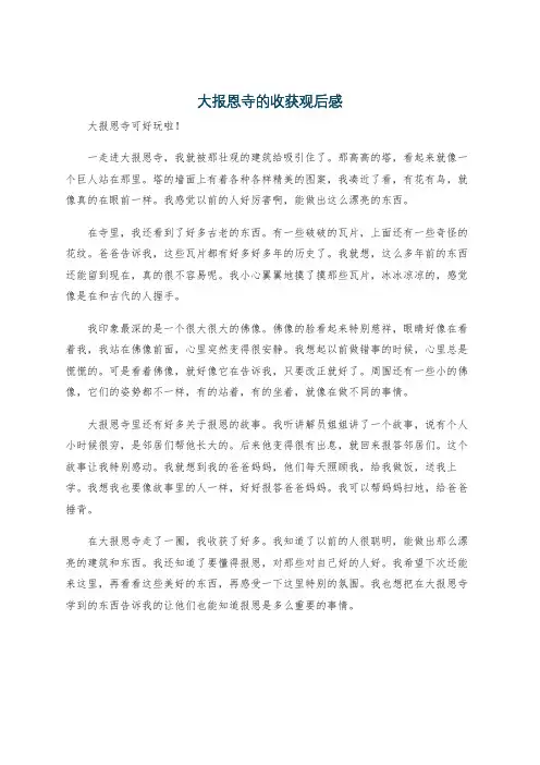 大报恩寺的收获观后感