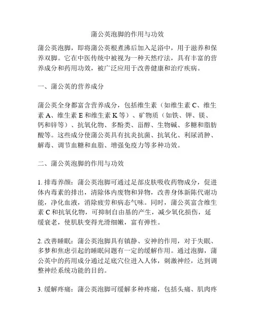 蒲公英泡脚的作用与功效