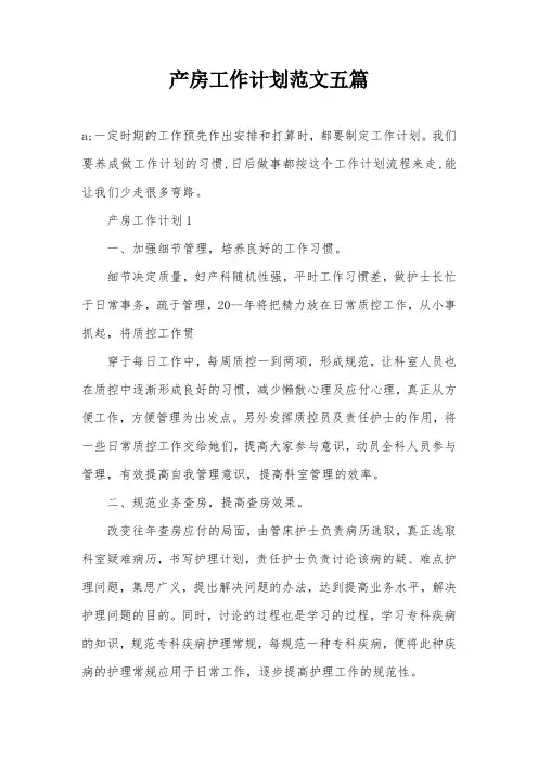 产房工作计划范文五篇
