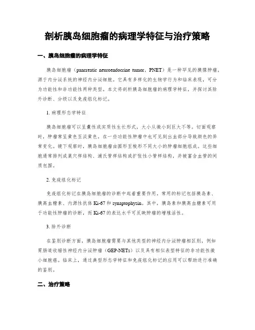 剖析胰岛细胞瘤的病理学特征与治疗策略
