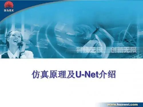 09 仿真原理及U-Net工具