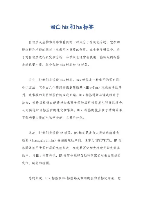 蛋白his和ha标签